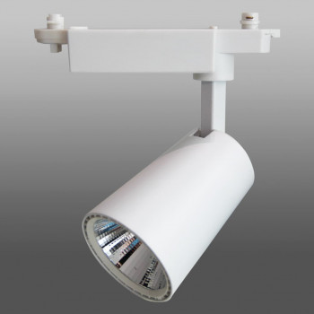 1.3 Светодиодный трековый светильник 20W 104 (20W, однофазный ...