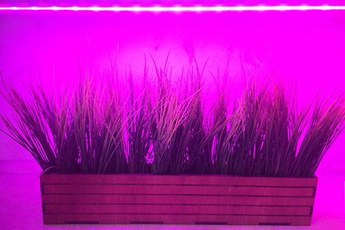 светодиодная подсветка для рассады led фитолампа для растений минск 